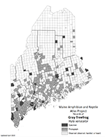Gray Treefrog distribution map (PDF)